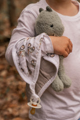 Pacifier little blanket