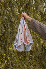 Pacifier little blanket