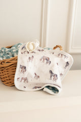 Pacifier little blanket