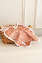 Pacifier little blanket