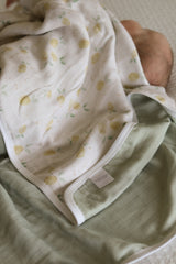 Blanket - New collection