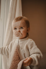 Pacifier little blanket