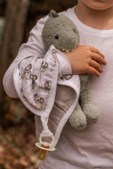 Pacifier little blanket