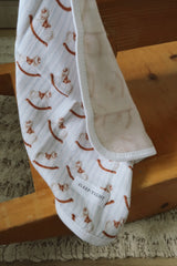 Pacifier little blanket