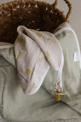 Pacifier little blanket