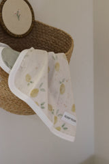 Pacifier little blanket