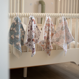 Pacifier little blanket