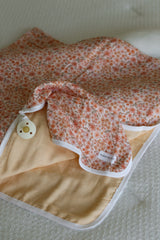 Pacifier little blanket