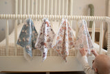 Pacifier little blanket