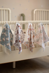 Pacifier little blanket