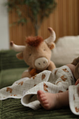 Couverture nouvelle collection