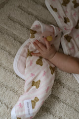 Pacifier little blanket