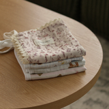 Pacifier little blanket