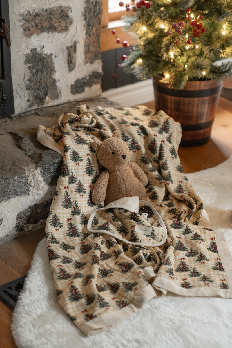 Christmas small blanket pacifier