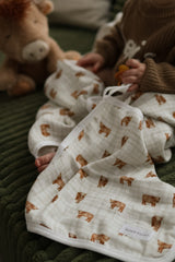 Pacifier little blanket