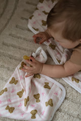 Pacifier little blanket
