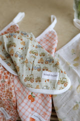 Pacifier little blanket