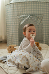 Pacifier little blanket