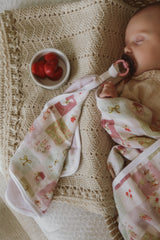 Pacifier little blanket