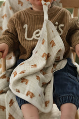Pacifier little blanket
