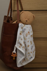 Pacifier little blanket