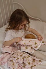 Pacifier little blanket