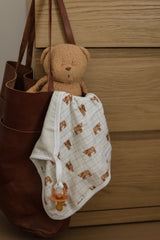 Pacifier little blanket