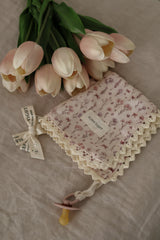 Pacifier little blanket